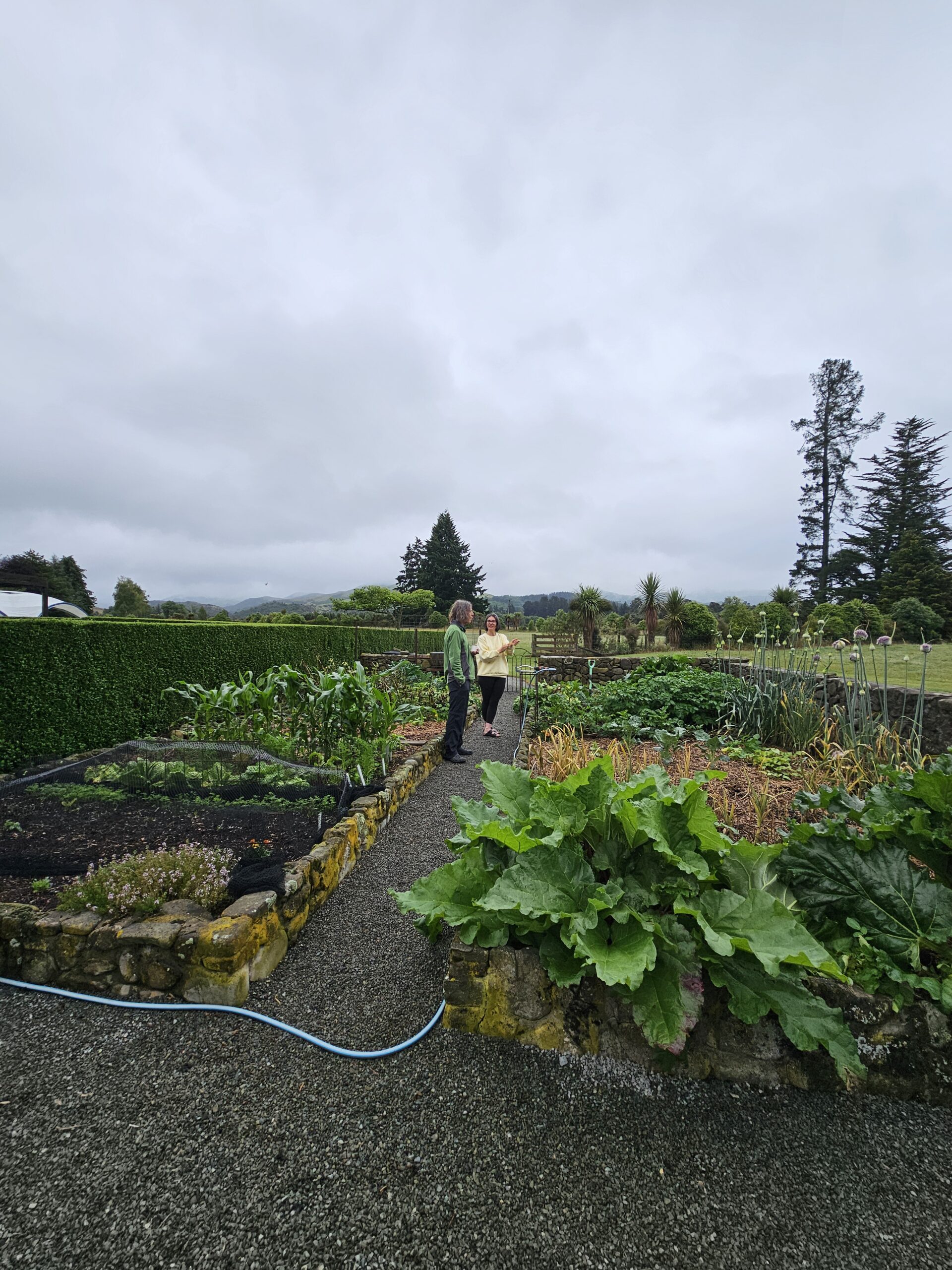 Boxing day-Saved from a wet rainy night in the tent