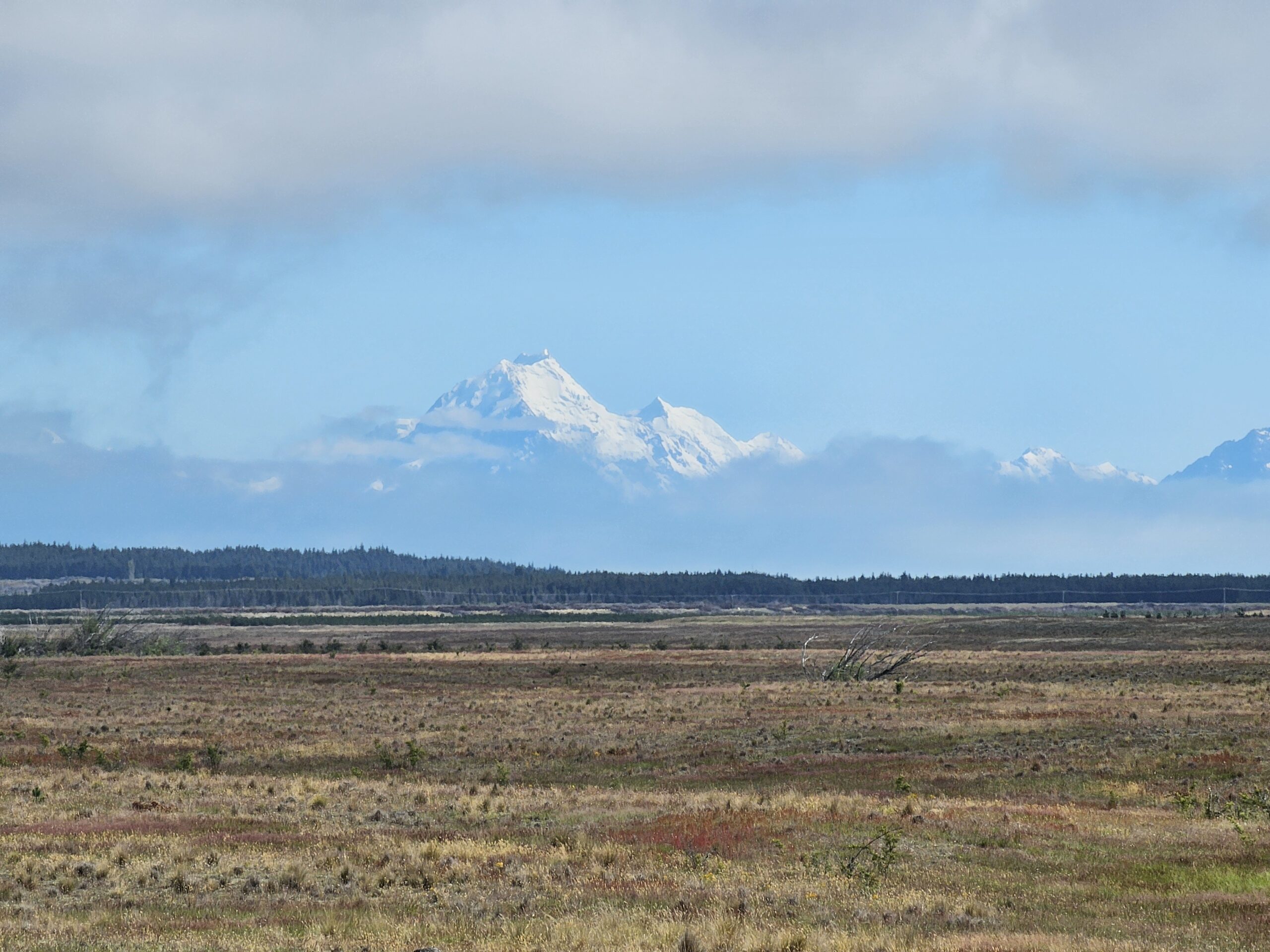 Surprise over the shoulder view of Mt Cook on the Pukaki Flats