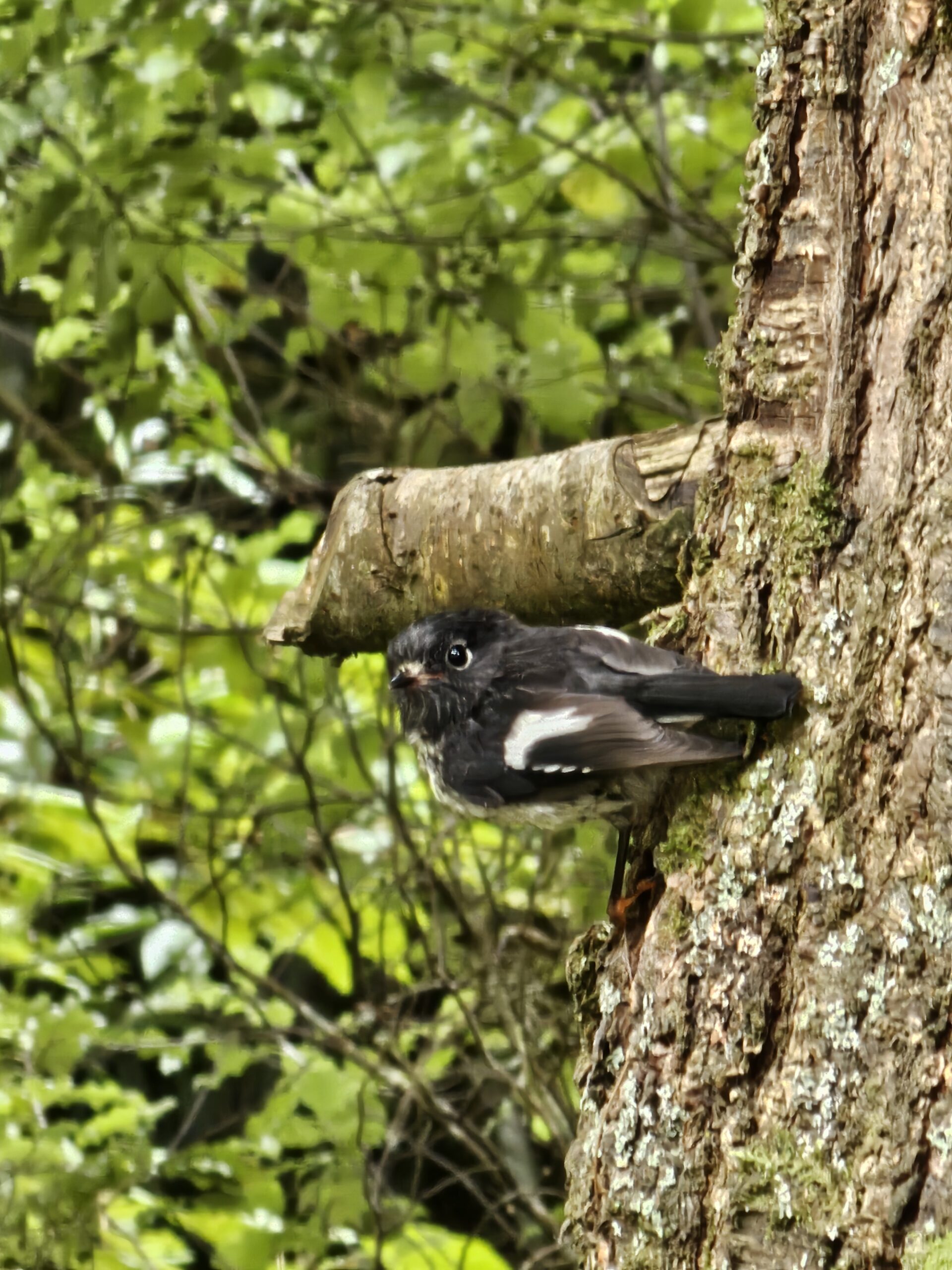 Day 15-Kakanui Beach to Trotters Gorge