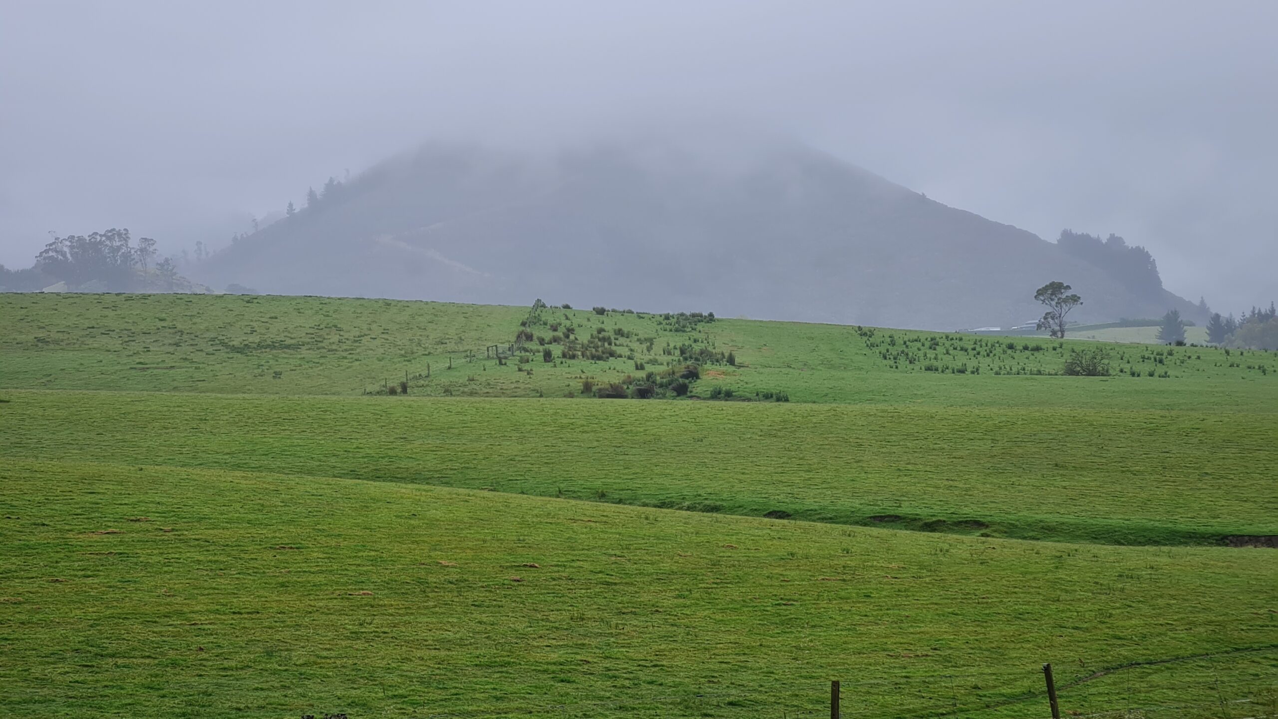 Day 17 – Exhausting last 23 kms to Port Chalmers